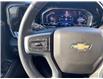 2024 Chevrolet Silverado 1500 LT (Stk: W6032) in Gatineau - Image 14 of 20