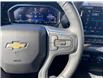 2024 Chevrolet Silverado 1500 LT (Stk: W6032) in Gatineau - Image 15 of 20