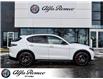 2025 Alfa Romeo Stelvio Base (Stk: 10-1323) in Ottawa - Image 7 of 25
