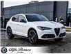 2025 Alfa Romeo Stelvio Base (Stk: 10-1323) in Ottawa - Image 8 of 25