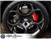 2025 Alfa Romeo Stelvio Base (Stk: 10-1323) in Ottawa - Image 9 of 25