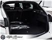 2025 Alfa Romeo Stelvio Base (Stk: 10-1323) in Ottawa - Image 13 of 25