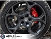 2025 Alfa Romeo Stelvio Base (Stk: 10-1336) in Ottawa - Image 9 of 25