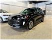 2022 Ford Escape SEL (Stk: P13634) in Calgary - Image 1 of 13