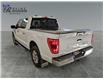 2021 Ford F-150 XLT (Stk: P9119A) in ROSETOWN - Image 5 of 17