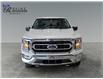 2021 Ford F-150 XLT (Stk: P9119A) in ROSETOWN - Image 8 of 17