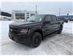 2025 Ford F-150 XLT (Stk: 5T010) in Williams Lake - Image 1 of 13