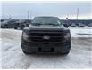 2025 Ford F-150 XLT (Stk: 5T010) in Williams Lake - Image 8 of 13