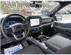 2025 Ford F-150 XLT (Stk: 5T010) in Williams Lake - Image 11 of 13