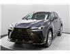 2025 Lexus NX 350h Base (Stk: 049815) in Brampton - Image 1 of 25