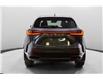 2025 Lexus NX 350h Base (Stk: 049815) in Brampton - Image 11 of 25