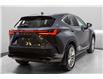 2025 Lexus NX 350h Base (Stk: 049815) in Brampton - Image 9 of 25