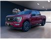 2022 Ford F-150 XLT (Stk: 11840) in Golden - Image 1 of 16