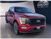 2022 Ford F-150 XLT (Stk: 11840) in Golden - Image 3 of 16