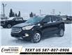 2019 Ford Escape SEL (Stk: N250170A) in Stony Plain - Image 1 of 43