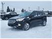 2019 Ford Escape SEL (Stk: N250170A) in Stony Plain - Image 2 of 43