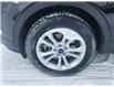 2019 Ford Escape SEL (Stk: N250170A) in Stony Plain - Image 4 of 43