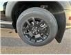 2024 Ford Bronco Sport Big Bend (Stk: 24DBS013) in Drayton Valley - Image 13 of 14