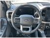 2024 Ford F-150 XLT (Stk: 24DFT074) in Drayton Valley - Image 10 of 13