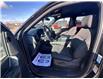 2024 Ford F-150 XLT (Stk: 24DFT043) in Drayton Valley - Image 10 of 15