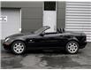1999 Mercedes-Benz SLK-Class Base (Stk: P9943) in Windsor - Image 4 of 22