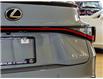 2025 Lexus IS 500 Base (Stk: 6686) in Kingston - Image 4 of 18