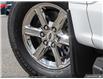 2024 Ford F-150 XLT (Stk: W3L74772) in Richmond - Image 8 of 25