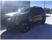 2019 Jeep Cherokee Trailhawk (Stk: 25-111A) in Smiths Falls - Image 1 of 14