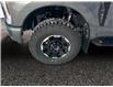 2025 Ford F-350 Lariat (Stk: 25T023) in ROCKY MOUNTAIN HOUSE - Image 14 of 15