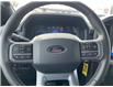 2025 Ford F-150 XLT (Stk: VF1F00399) in Chatham - Image 14 of 19