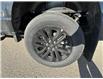 2024 Ford F-150 XLT (Stk: 24DFT043) in Drayton Valley - Image 14 of 15