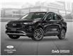 2025 Ford Escape PHEV (Stk: 250293) in Toronto - Image 1 of 23