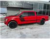 2019 Ford F-150 XLT (Stk: 24290) in Pembroke - Image 2 of 28
