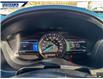 2019 Ford Explorer XLT (Stk: P4259) in Dartmouth - Image 14 of 24