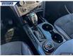 2019 Ford Explorer XLT (Stk: P4259) in Dartmouth - Image 17 of 24