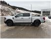 2025 Ford F-150 STX (Stk: 5T002) in Williams Lake - Image 2 of 13