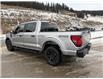 2025 Ford F-150 STX (Stk: 5T002) in Williams Lake - Image 3 of 13