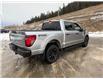 2025 Ford F-150 STX (Stk: 5T002) in Williams Lake - Image 5 of 13