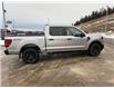 2025 Ford F-150 STX (Stk: 5T002) in Williams Lake - Image 6 of 13
