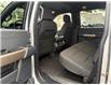 2025 Ford F-150 STX (Stk: 5T002) in Williams Lake - Image 10 of 13