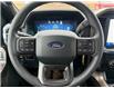 2025 Ford F-150 STX (Stk: 5T002) in Williams Lake - Image 13 of 13