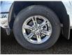 2025 Ford F-150 XLT (Stk: 25T016) in ROCKY MOUNTAIN HOUSE - Image 14 of 15