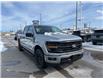 2025 Ford F-150 XLT (Stk: VF1F00399) in Chatham - Image 5 of 19