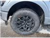 2025 Ford F-150 XLT (Stk: VF1F00399) in Chatham - Image 7 of 19