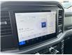 2025 Ford F-150 XLT (Stk: VF1F00399) in Chatham - Image 17 of 19