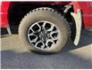 2021 Ford F-150 Lariat (Stk: OP324) in Drayton Valley - Image 14 of 14