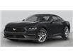 2025 Ford Mustang GT Premium (Stk: 6-25MG0278) in Whitby - Image 1 of 1