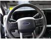 2025 Ford F-350 XLT (Stk: MS060) in Kamloops - Image 19 of 34