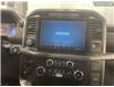 2025 Ford F-150 XLT (Stk: 0T5071) in Kamloops - Image 20 of 26