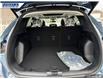 2025 Ford Escape PHEV (Stk: 26754) in Dartmouth - Image 11 of 24